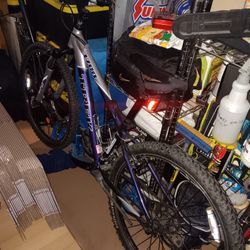 Trek 3700 Mountain Bike