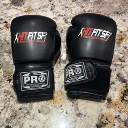 Professional Boxing Gloves (16 Oz.)