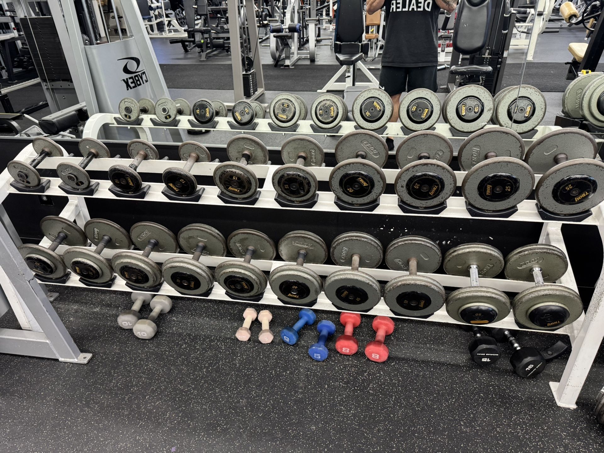 Troy Dumbbells 5-100lbs
