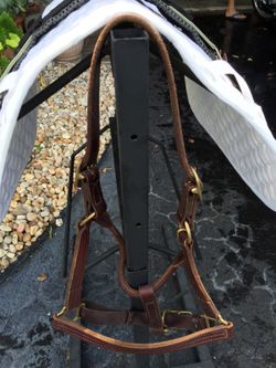 Oversized / warm blood leather halter