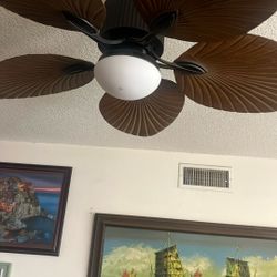 Ceiling Fan New