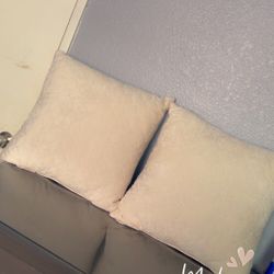 Decorative Throw Pillows 