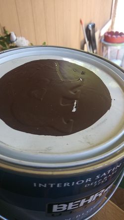 Satin paint interior Brown color