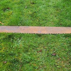 Antique Rustic Crosscut Saw Blade