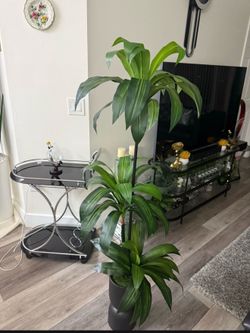 Pretty artificial plant 5 ft tall with planter
