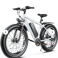 Fat Tire Electric Bike