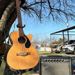 Fender Bajoloche/Acoustic bass and amp bundle