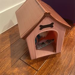Dog House Toy