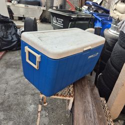Cooler Coleman
