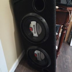 10" Subwoofer 