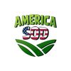 AMERICA SOD
