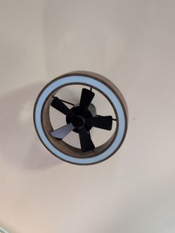 Ceiling fan with light