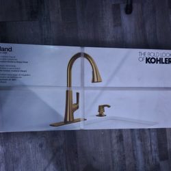 Kohler Sink