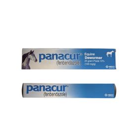 Panacur Equine Dewormer (Fenbendazole) 25g Paste – Exp 06/2027