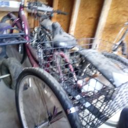 Schwinn Tricycle 
