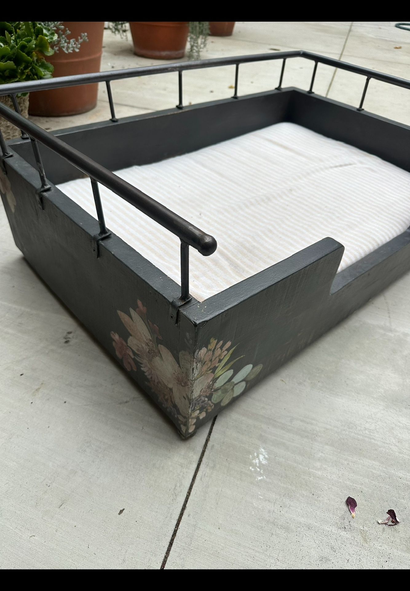 Large Size Bougie Dog Bed