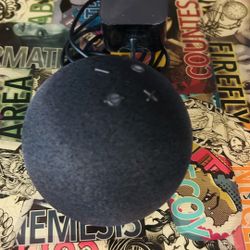 Echo Dot 