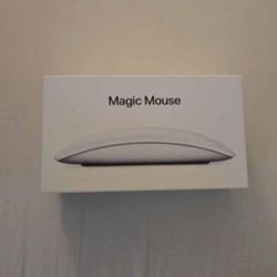 Apple Magic Mouse (2021, White)