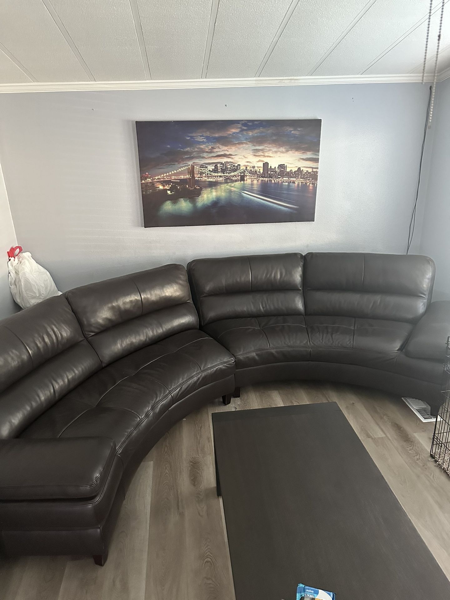 Leather Couch 