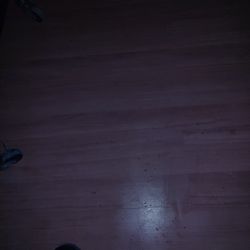 Need A Cat That Kills Rats