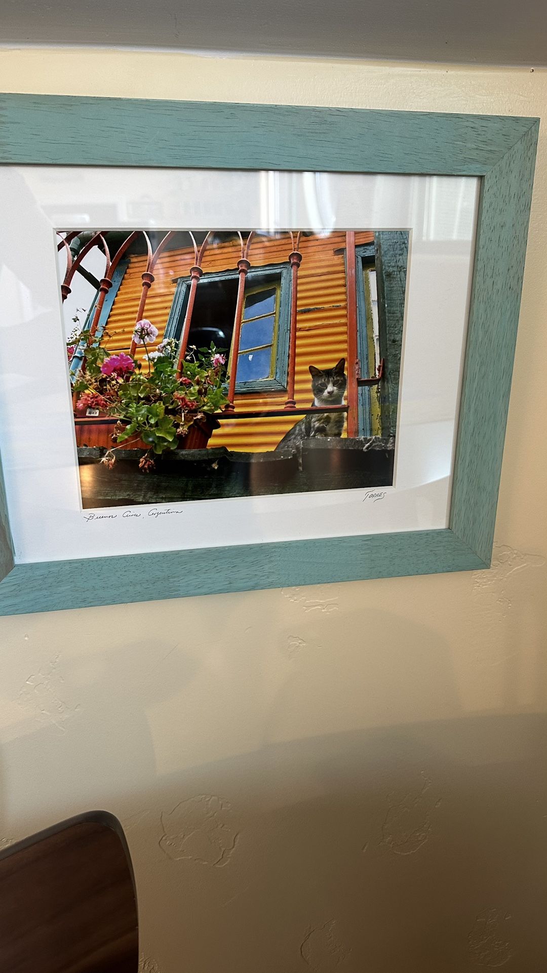 Buenos Aires House Scene Photo In Frame