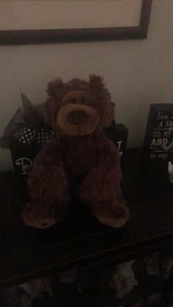 Brand new bear in bag gun brand