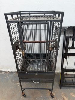 Brid cage