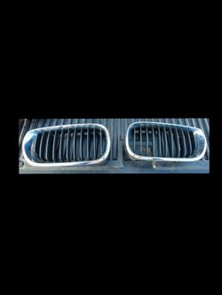 BMW set Grill
