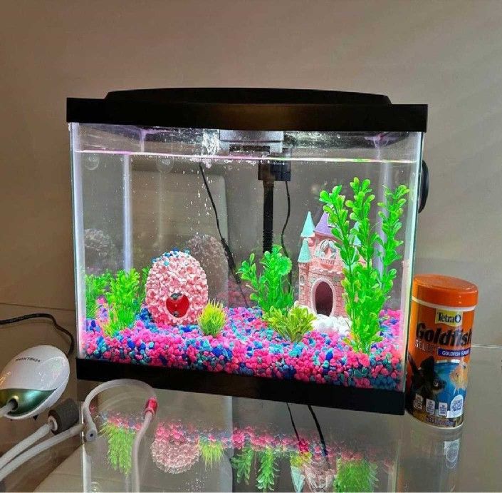 goal if Complete Fish Tank Kit – Explore a Magical Underwater World