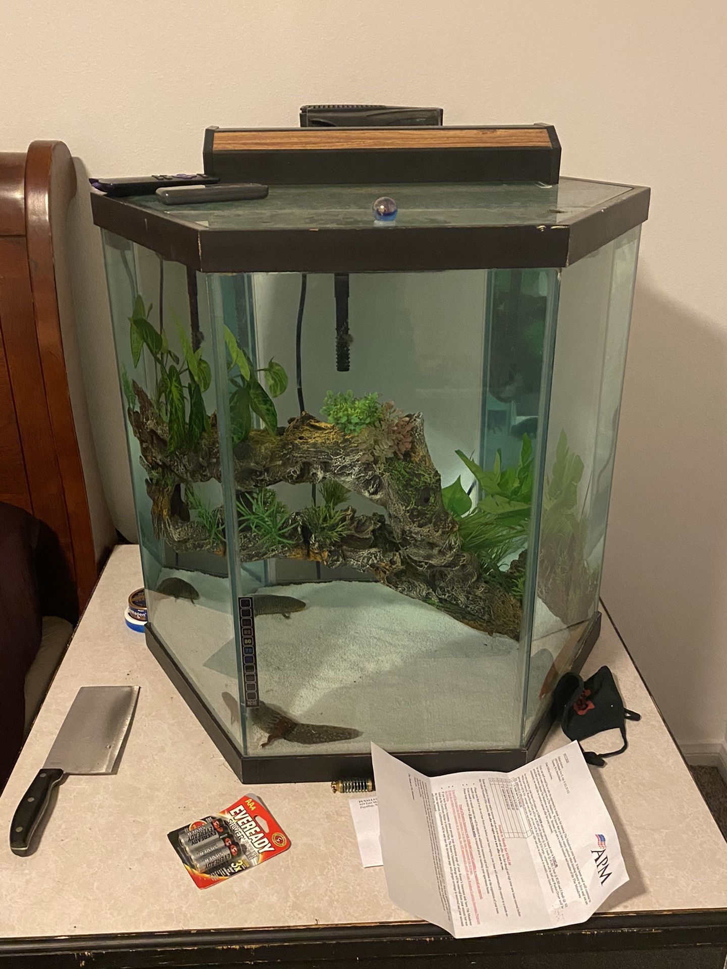 Fish tank complete with stand