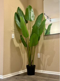 MOVING SALE - Faux Plant
