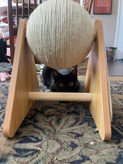 Cat scratcher