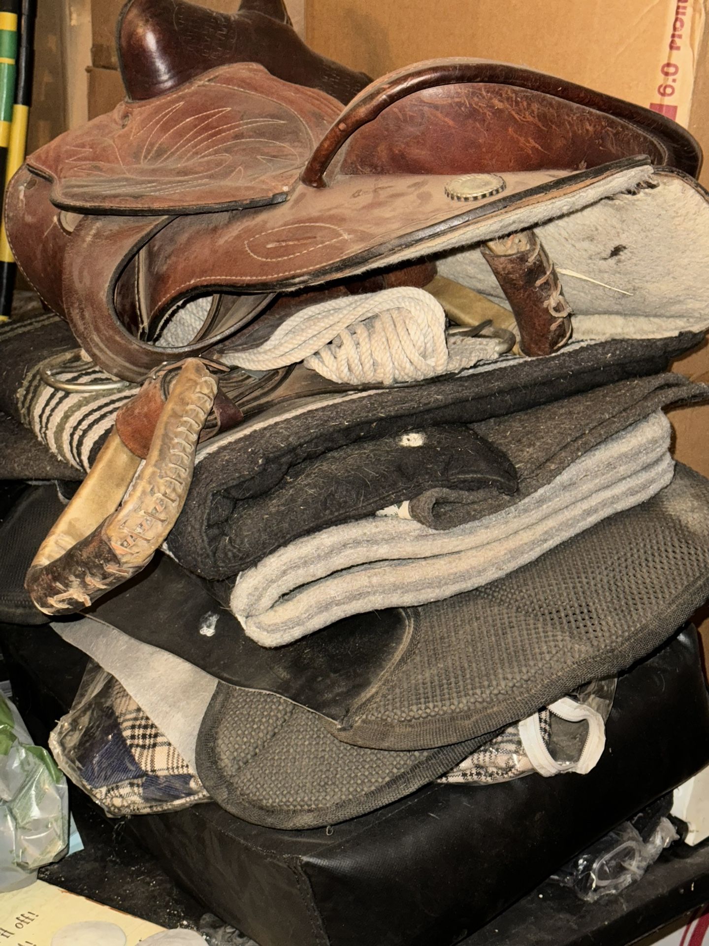 Used Horse Gear For Sale