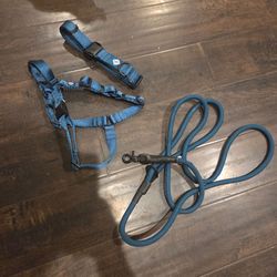 Collar, Harness & Leash Set