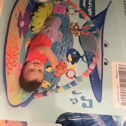 baby playmat/gym
