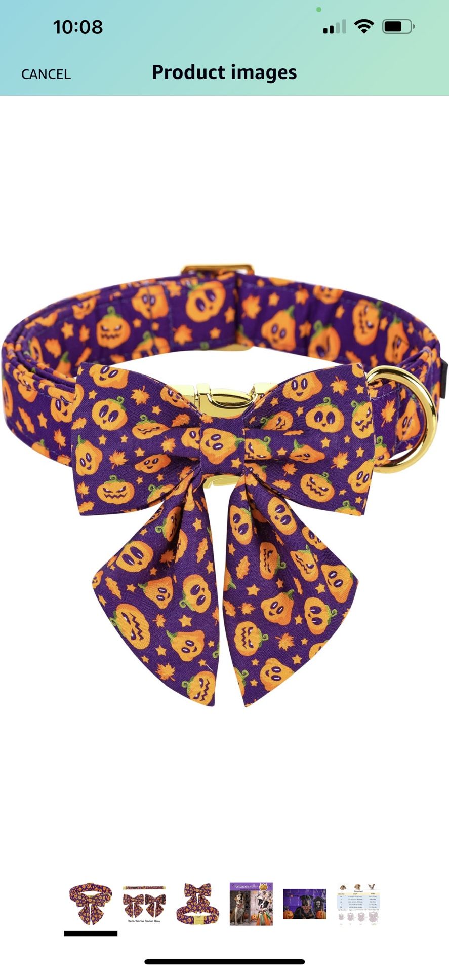 ARING PET Dog Collar, Cute Halloween Dog Collar with Sailor Bowtie, Adjustable Purple Pumpkin Bowtie Dog Collars with Metal Buckle size L