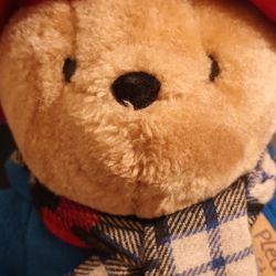 Cutie Paddington Stuffed Bear w/scarf