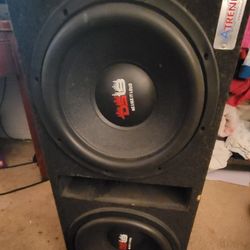 12" Custom Dual Subwoofer DS18 Speakers