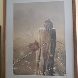 Pair Of Cardinals On Fence