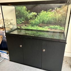 90 Gallon Fish Tank + Stand OBO