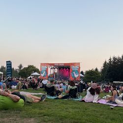 THING! Fest Sunday Wristband (4 Available)