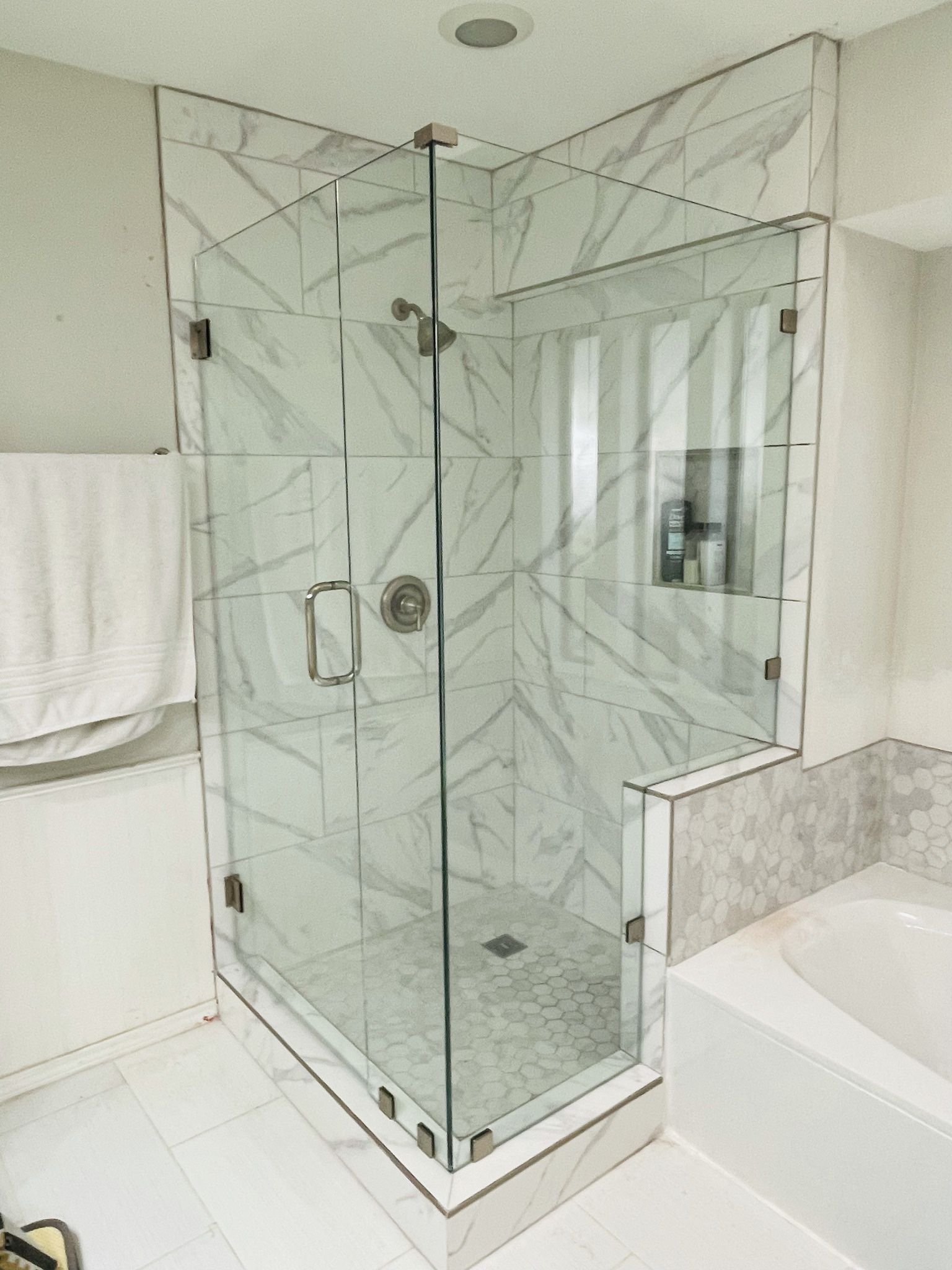Frameless Shower Door 