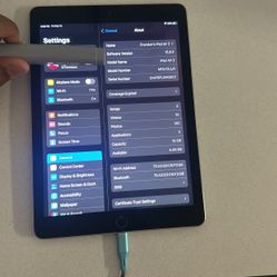 iPad Air 2