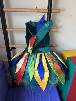 Birds of Paradise Costume (dress only)