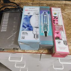 Bulbs And Ballast