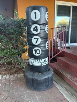 Kickboxing/Punching Bag