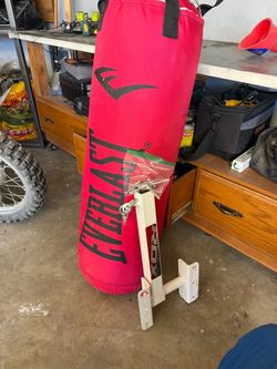 Everlast Heavy Punching Bag with Wall Mount Bracket