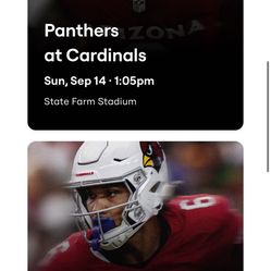 Arizona Cardinals Coach Tickets - All Games Available