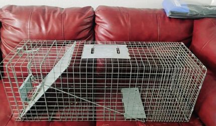 Havahart Large 1-Door Animal Trap