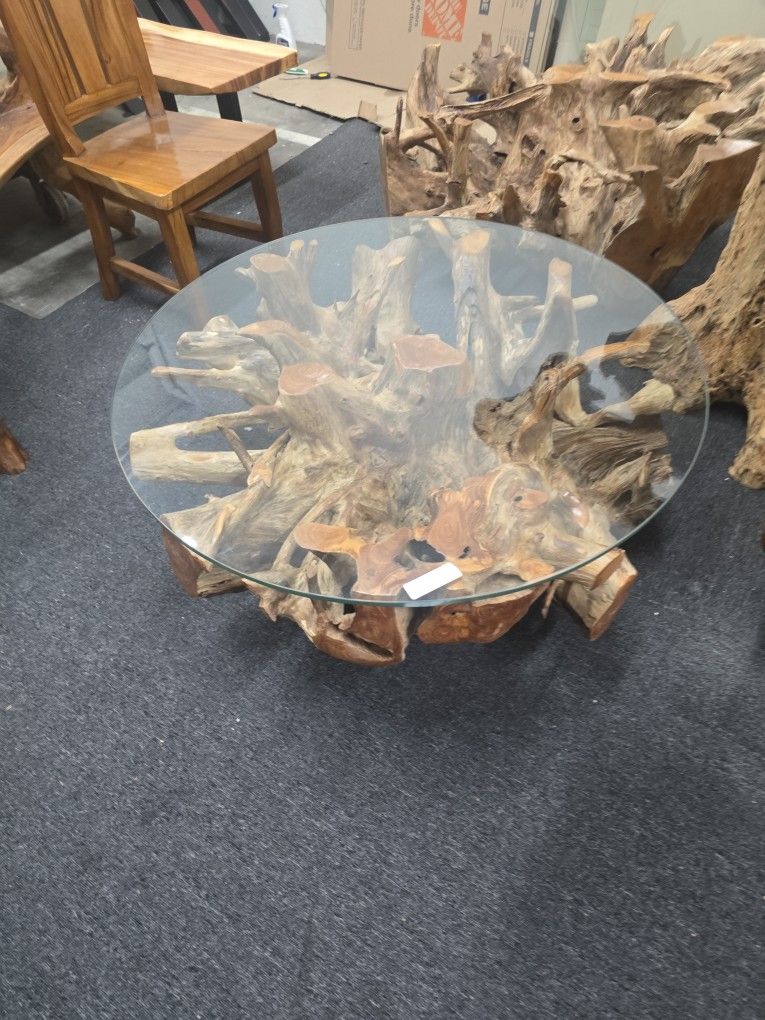 Teak Root Coffee Table